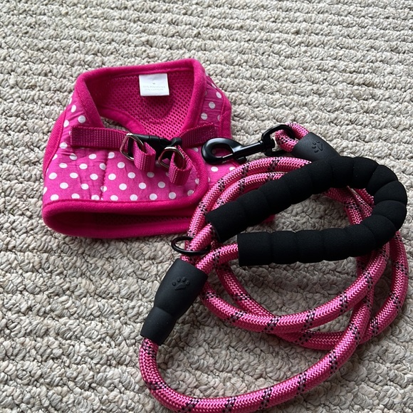 Harness and leash size M - Picture 1 of 3
